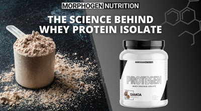 Let us Show you the Whey: A Guide to the Science Behind this Powerful Protein Source