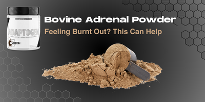 Feeling Burnt Out? Bovine Adrenal Powder Can Help