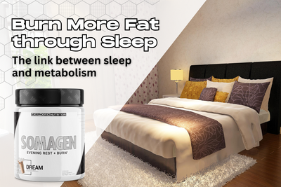 Burn More Fat Through Sleep | The Link Between Sleep and Metabolism