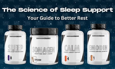 The Science of Sleep Support | Your Guide to Better Rest